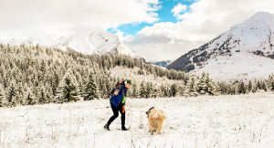 Photo de galerie - Garde animaux