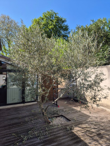 Photo de galerie - Paysagiste - Aménagement du jardin