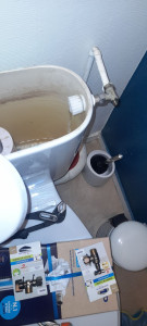 Photo de galerie - Changement de chasse  d'eau  robinet d'eau équerre 