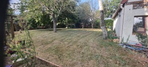 Photo de galerie - Tonte de pelouse - Débroussaillage