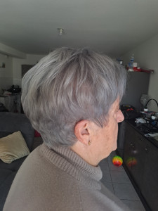 Photo de galerie - Coloration grise