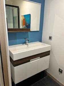 Photo de galerie - Pose vasque , lavabo , miroir , raccordement sanitaire 