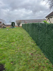 Photo de galerie - Clôture Grillage