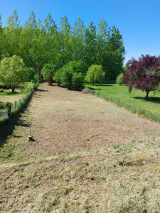 Photo de galerie - Débroussaillage de ronce 