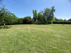 Photo de galerie - Tondre pelouse