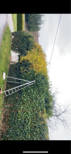 Photo de galerie - Photo avant taille de la première face 