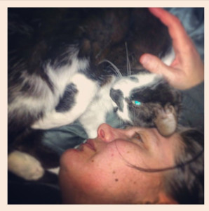 Photo de galerie - Mon chat