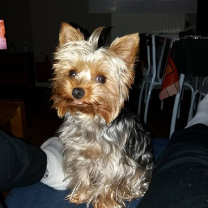 Photo de galerie - Mon petit coeur