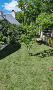 Photo de galerie - Posé de pelouse en rouleaux naturel 