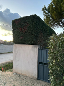 Photo de galerie - Après 