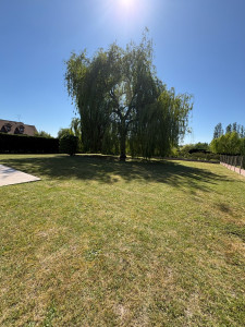 Photo de galerie - Tonte