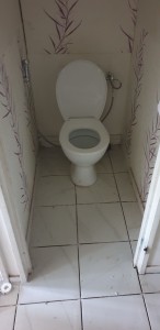 Photo de galerie - Installation toilette 