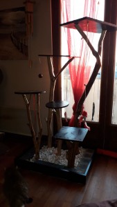 Photo de galerie - Arbre à chat