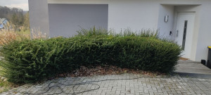 Photo de galerie - Avant 