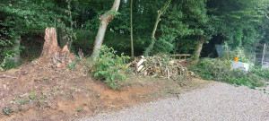 Photo de galerie - Nettoyage  de talus 
 