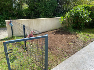 Photo de galerie - Extraction et évacuation d’un Phormium (Phormium tenax).