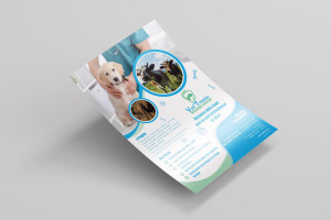 Photo de galerie - Graphisme - Création flyer - plaquette 