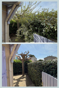 Photo de galerie - Avant après 