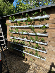 Photo de galerie - Paysagiste - Aménagement du jardin