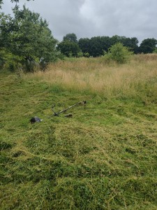 Photo de galerie - Tonte de pelouse - Débroussaillage