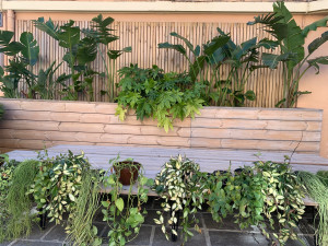 Photo de galerie - Création terrasse cosy d’un café.
Création , réalisation structure, choix et plantation des plantes 