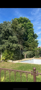 Photo de galerie - Après