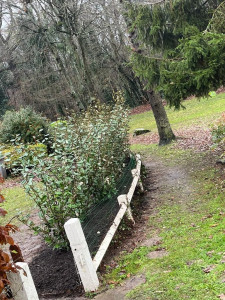 Photo de galerie - Paysagiste - Aménagement du jardin