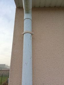 Photo de galerie - Remplacement de collier de chenenos 