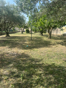 Photo de galerie - Débroussaillage d’une zone de 300 m2