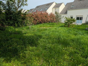 Photo de galerie - Tonte de pelouse - Débroussaillage