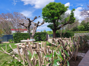 Photo de galerie - Taille bonne période 