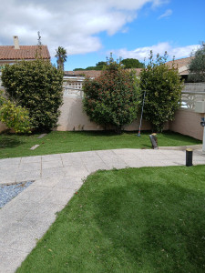 Photo de galerie - Vue des trois arbustes dans leur état 