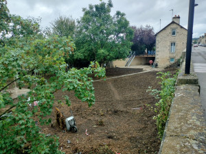 Photo de galerie - Tonte de pelouse - Débroussaillage