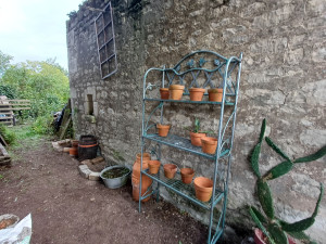 Photo de galerie - Désherbage et remise en beauté de l'extérieur 