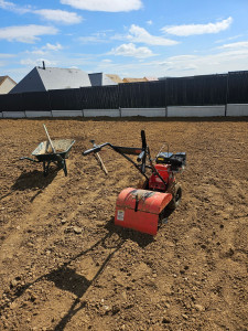 Photo de galerie - Création de pelouse 