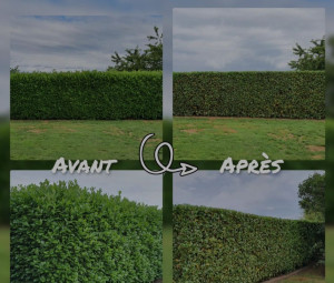 Photo de galerie - L’espace vert une passion avent tout 