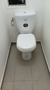 Photo de galerie - Remplacement de wc
