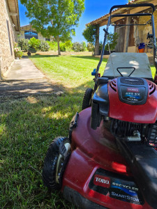 Photo de galerie - Entretien espaces verts 