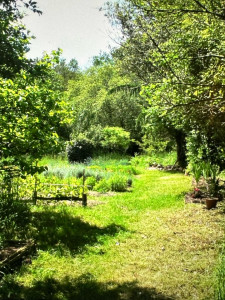 Photo de galerie - Terrain à tondre et débroussailler 