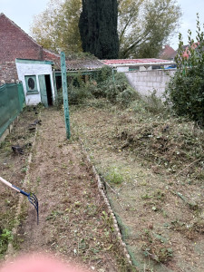 Photo de galerie - Débroussaillage de ronces (travaux en cours) 