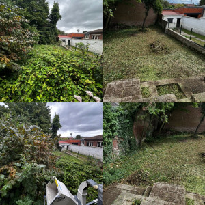 Photo de galerie - Nettoyage terrain