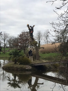 Photo de galerie - élagage 

