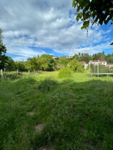 Photo de galerie - Débroussaillage terrain avant