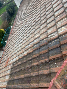 Photo de galerie - Traitement de toiture