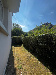 Photo de galerie - Les services d'élagage de jardin sont réalisés selon vos souhaits.