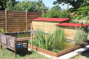 Photo de galerie - Réalisation de bassin de jardin avec filtration. 