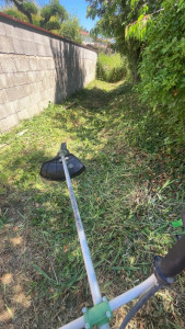 Photo de galerie - .