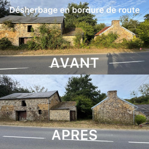 Photo de galerie - Débroussaillage devant deux bâtiments 