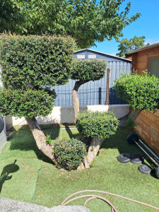 Photo de galerie - Bricolage et multi services