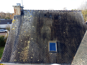 Photo de galerie - Avant le nettoyage